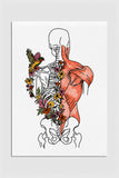 Floral Anatomy Muscle Art Poster enhancing the ambiance of a modern therapist's office with vibrant anatomical design.