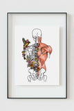 Elegant Muscle Anatomical Poster with floral patterns, a stylish addition to home gym wall decor.